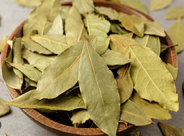 MP bay Leaf